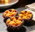 Fresh Sea Urchin